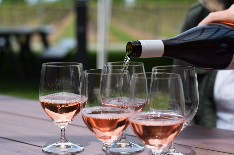 Découvrez notre sélection de vins rosés de Provence